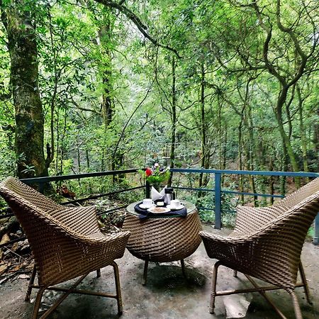 Ayar Jungle Resort ناينيتال المظهر الخارجي الصورة