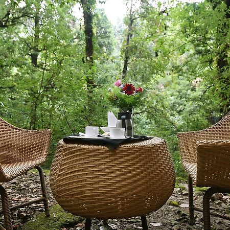 Ayar Jungle Resort ناينيتال المظهر الخارجي الصورة