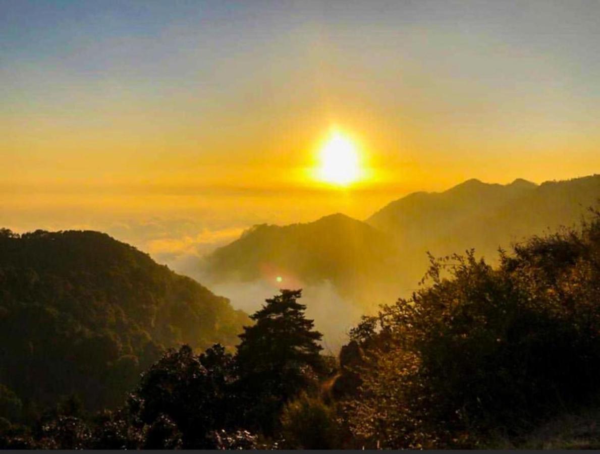 Ayar Jungle Resort ناينيتال المظهر الخارجي الصورة