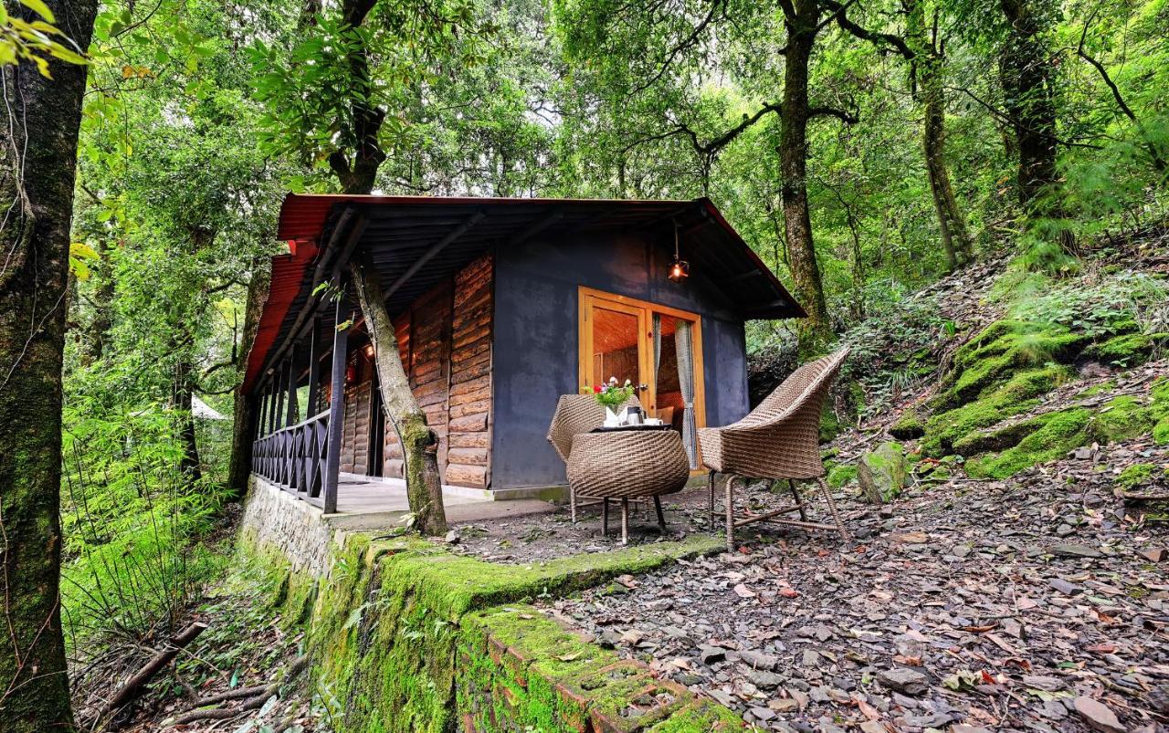 Ayar Jungle Resort ناينيتال المظهر الخارجي الصورة