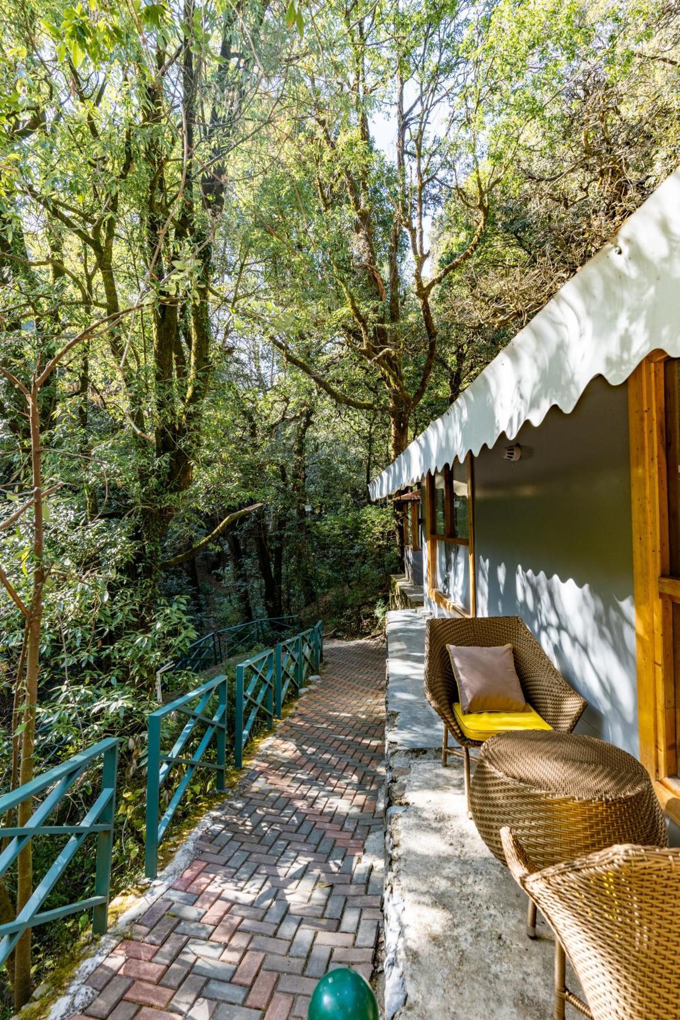 Ayar Jungle Resort ناينيتال المظهر الخارجي الصورة