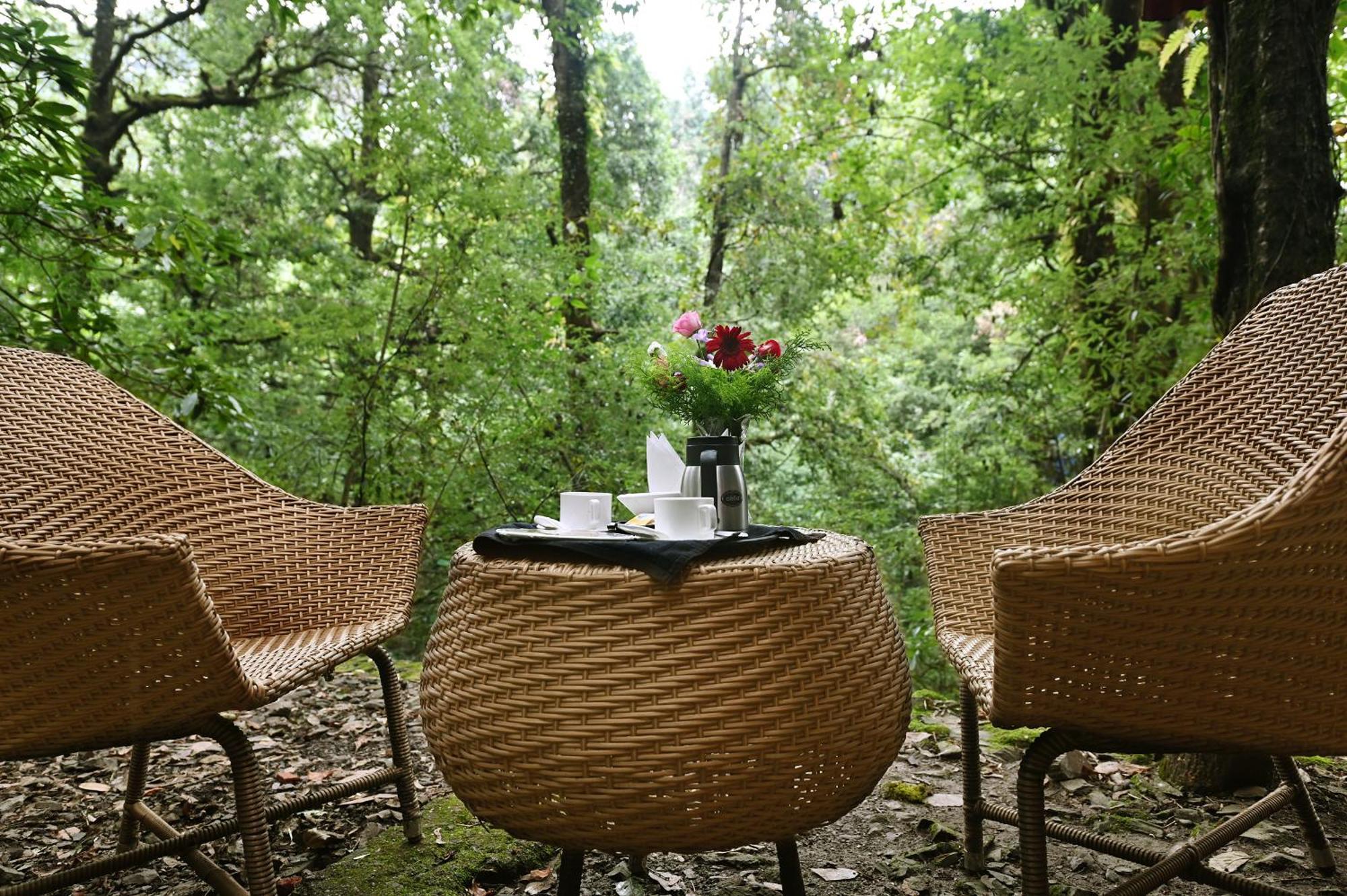 Ayar Jungle Resort ناينيتال المظهر الخارجي الصورة